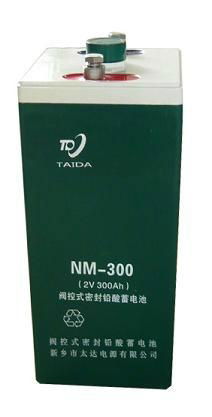 NM-300 閥控式鉛酸蓄電池