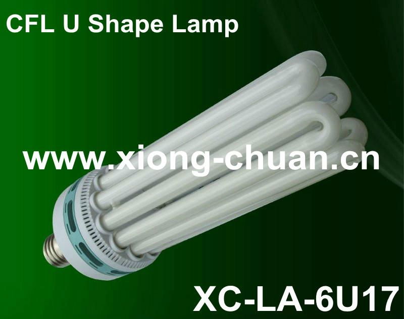 Electronic energy saving lamp 2