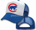 trucker cap 2