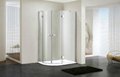 Luxury Glass Shower Rooms (DY-DV562R) 1