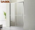 Toughened Glass Shower Screen(DY-PCM155)