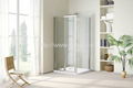 Tempered Glass Shower Door 1