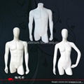 Torso mannequins (D-025)