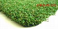 GOLF artificial grass ( synthetic turf - artificial lawn ) 1