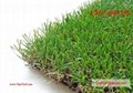 LANDSCAPING artificial grass ( synthetic turf - artificial lawn ) 3