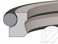 Dichtomatik Wiper AD 61 