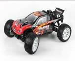 Newest ZD 1:16 Brushless tr   y