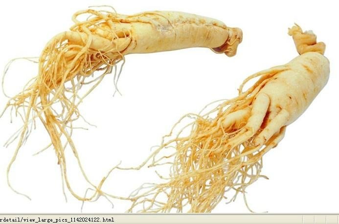 ginseng extract 