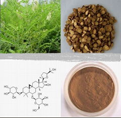 Astragalus Extract