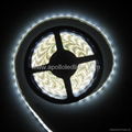 LED STRIP LIGHT SMD5050 60leds/m only sales 2.59USD/m 1