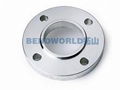 Stainless Steel Flanges 1