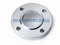 Stainless Steel Flanges