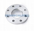 Stainless Steel Flanges 2