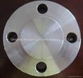 stainless steel casting flanges/blind