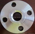 stainless steel casting flanges/socket weld 1