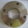 stainless steel casting flanges/slipon