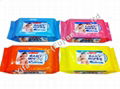 Wet Wipes 1