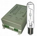 Automatic dimming Radio-frequency lamp (RF lamp) 1