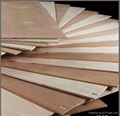 okoume/oak/birch/poplar/eucalyptus plywood