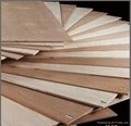 okoume plywood-9/12/15/18mm thickness