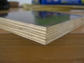 film faced plywood-21x1250x2500mm