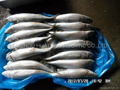 Taizhou Huatong Aquatic Co.,Ltd