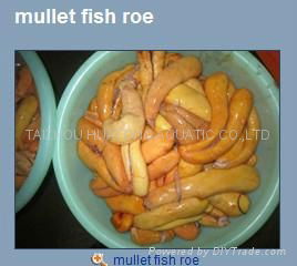 Frozen Mullet Roe