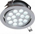 Led Down Light