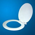 Plastic toilet seat 1