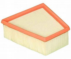 Auto Air Filter 