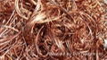 Copper Scrap