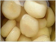 canned water chestnut