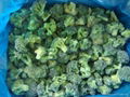 frozen broccoli  2