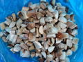 2012 new crop frozen boletus edulis (A whole ) 4