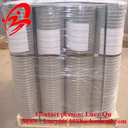 welded wire mesh  2