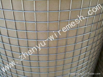 Stainless Steel welded wire mesh 