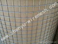 Stainless Steel welded wire mesh