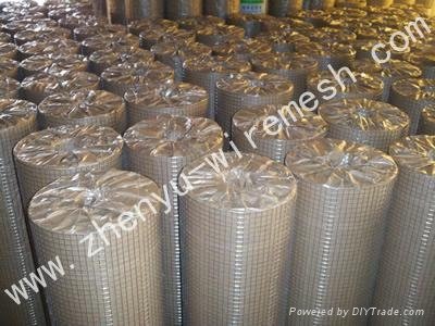 Stainless Steel welded wire mesh  4