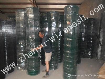 PVC coated welded wire mesh  2