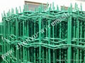 Holland wire mesh