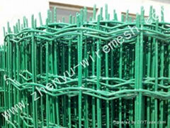 Holland wire mesh 