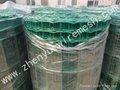 Holland wire mesh  2