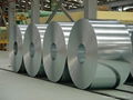 HR Stainless Steel Coils and Rolls ASTM316 2