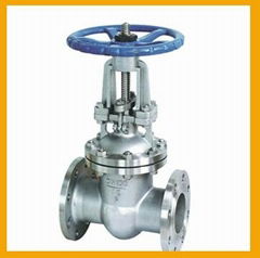 Cast gate valve