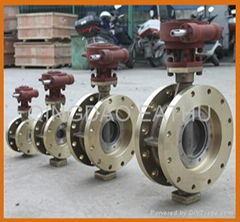 Csat butterfly valve