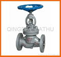 Cast ANSI& DIN globe valve