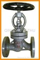 Cast ANSI& DIN globe valve 5
