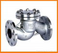 Cast ANSI& DIN check valve 1