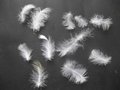 Washed white goose feather 1