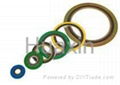 spiral wound gasket, Spiral Wound Gaskets ,Graphite Gasket,Spiral Wound,Sealing 